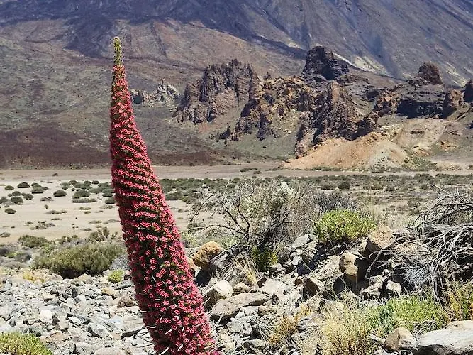 Rural Salamanca Gospodarstwo wiejskie *